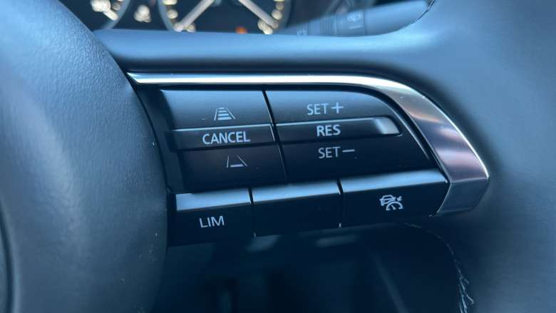 Mazda CX-30 2.5 e-Skyactiv G MHEV [140] Homura 5dr Petrol Hatchback